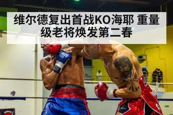 维尔德复出首战KO海耶 重量级老将焕发第二春