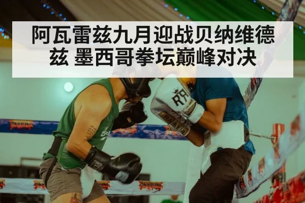 阿瓦雷兹九月迎战贝纳维德兹 墨西哥拳坛巅峰对决（hth）
